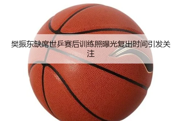 樊振东缺席世乒赛后训练照曝光复出时间引发关注